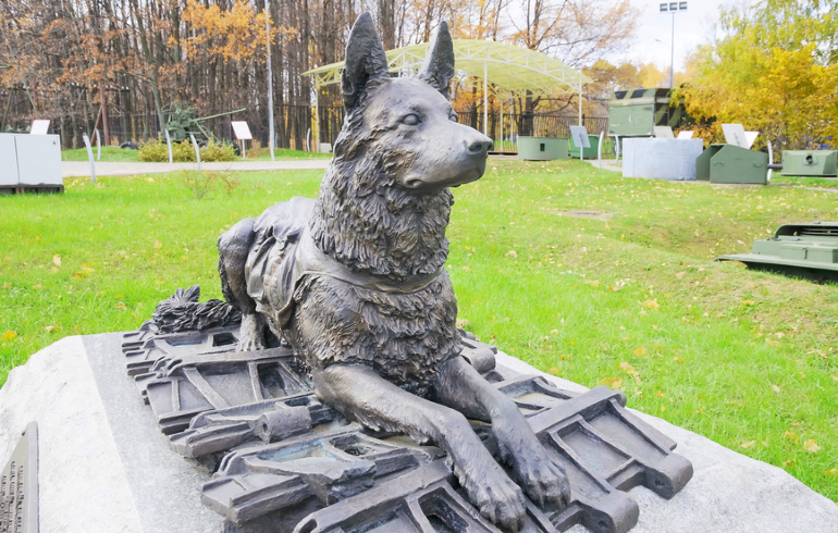 Памятник фронтовой собаке на Поклонной горе