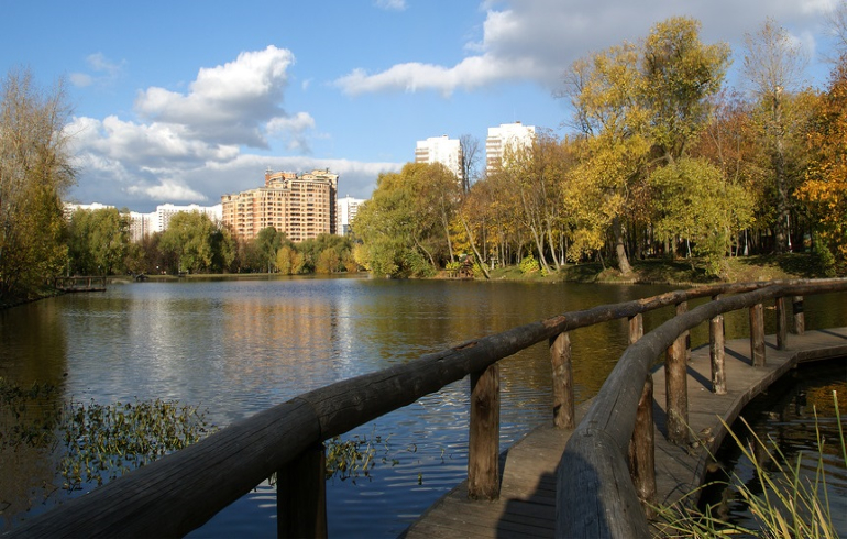 Москва. Воронцовский парк