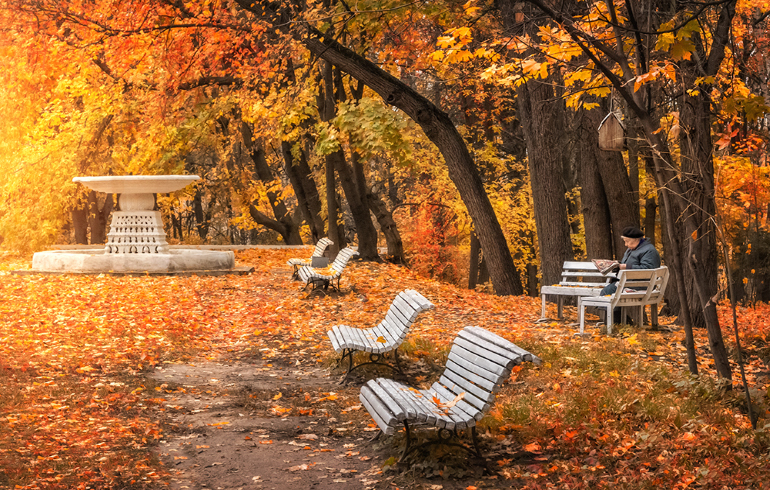 Осень в Москве. Нескучный сад