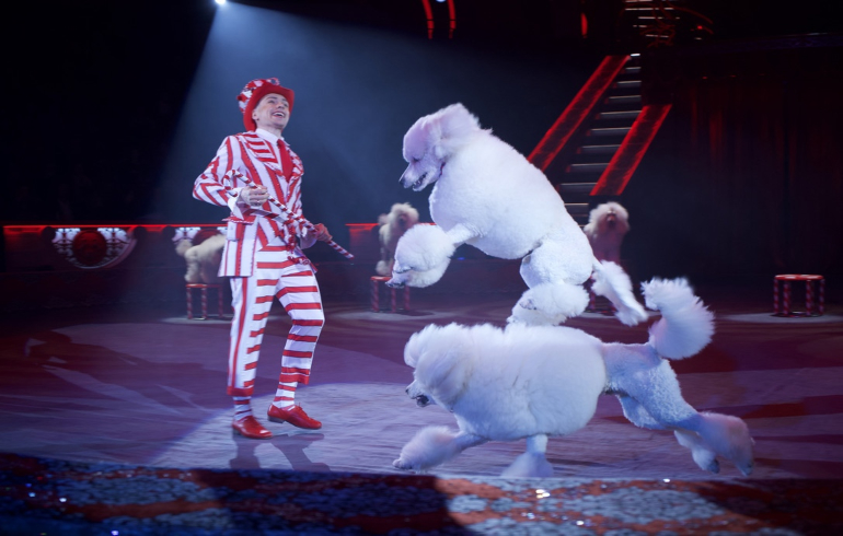 Московский Цирк Никулина на Цветном бульваре