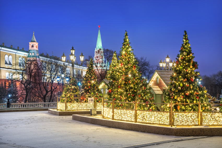Москва. Новогодние ёлочки на Манежной площади