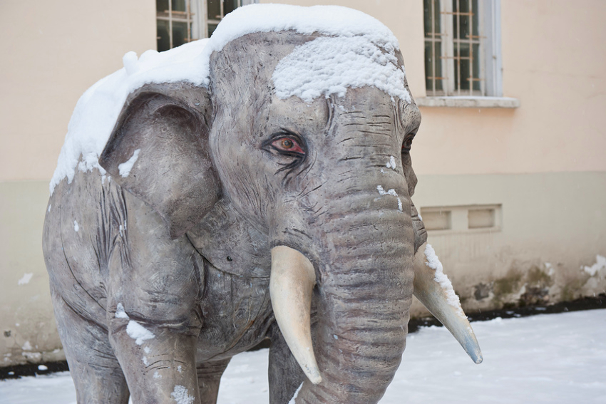 Москва. Никитский бульвар. Слон рядом со зданием Государственного музея искусства народов Востока